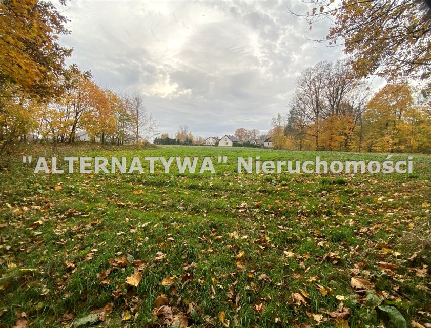 Pusta działka Mizerów