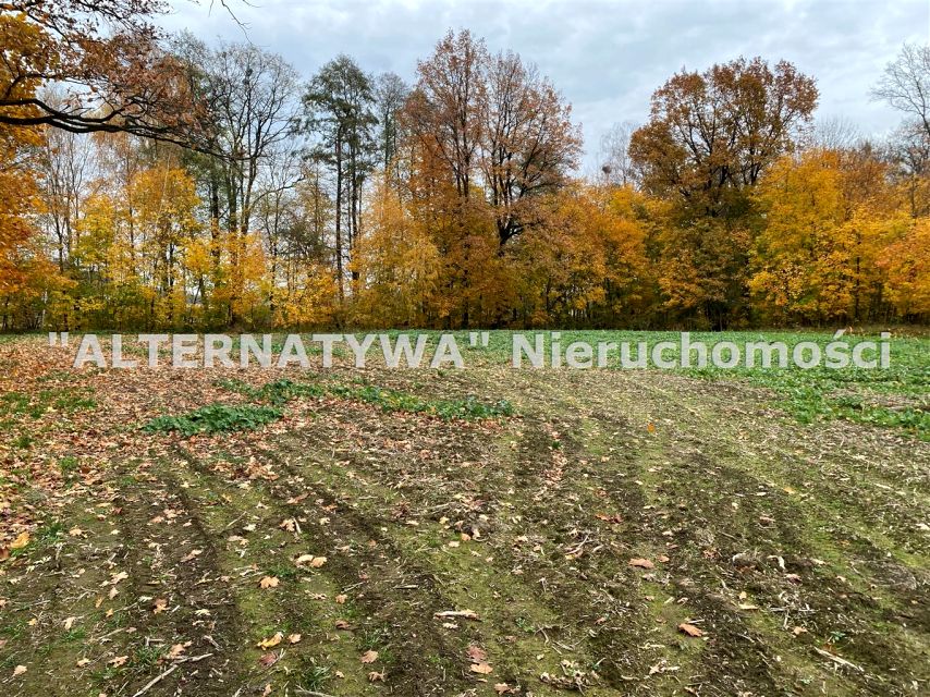 Działka inwestycyjna Mizerów