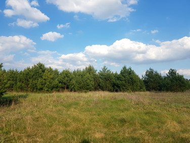 Działka budowlana Stronno