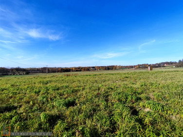 Pusta działka Cianowice