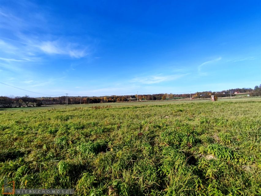 Pusta działka Cianowice