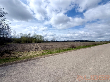 Działka Końcowizna