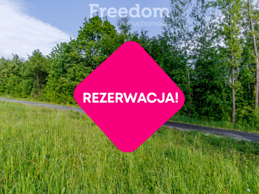 Działka RZEPIENNIK STRZYŻEWSKI