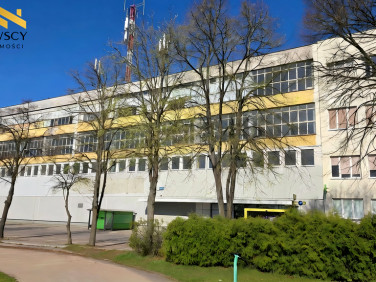 Lokal Elbląg wynajem