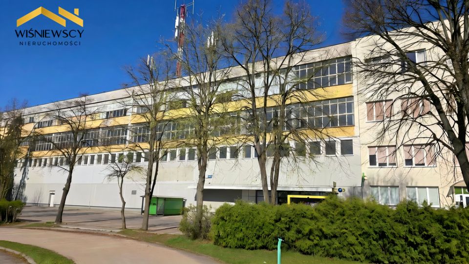 Lokal Elbląg wynajem