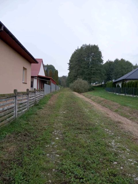 Zdjęcie 3