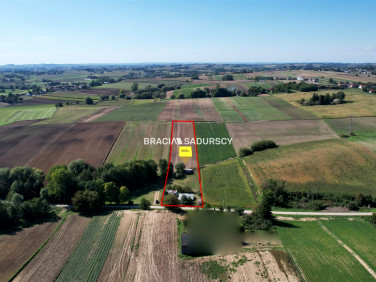 Działka Kazimierza Wielka