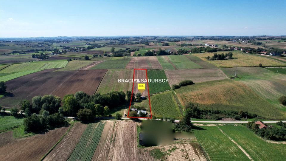 Działka Kazimierza Wielka