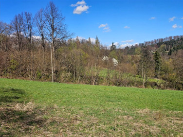 Działka budowlana Czasław