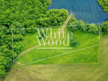 Dom wolnostojący sprzedaż