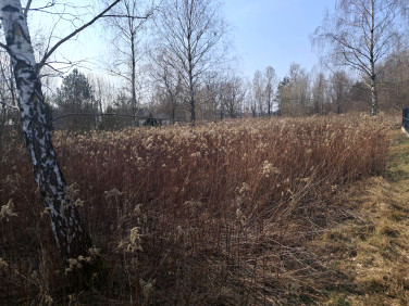 Działka budowlana Góraszka sprzedam