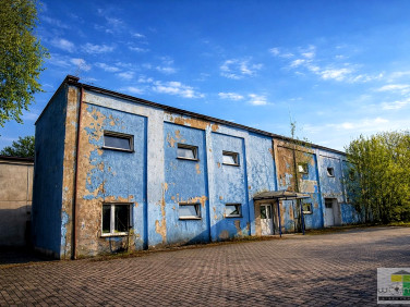 Budynek użytkowy Strzegom