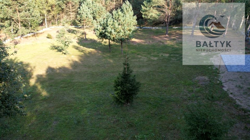 Zdjęcie 2