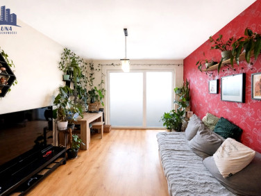 Mieszkanie Świdnica