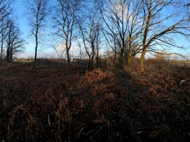Działka Stary Borek