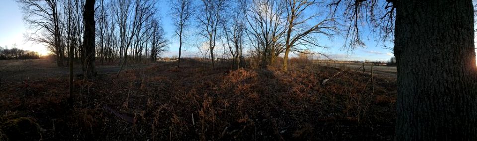 Działka Stary Borek