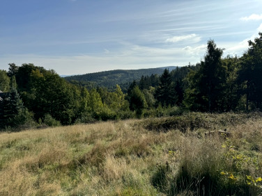 Działka budowlana Przesieka