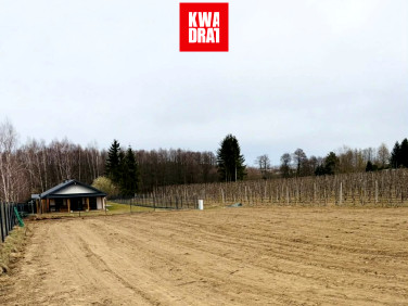 Działka inna Pękoszew