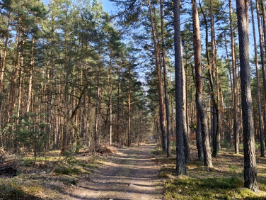 Działka rekreacyjna sprzedam