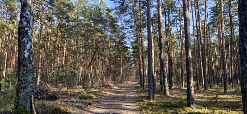 Działka rekreacyjna sprzedam