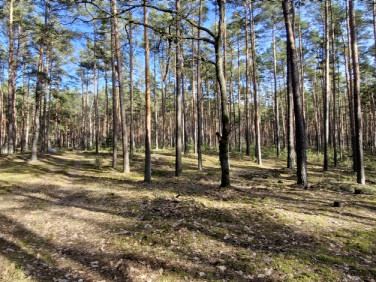 Działka rekreacyjna Osiedle Wilga