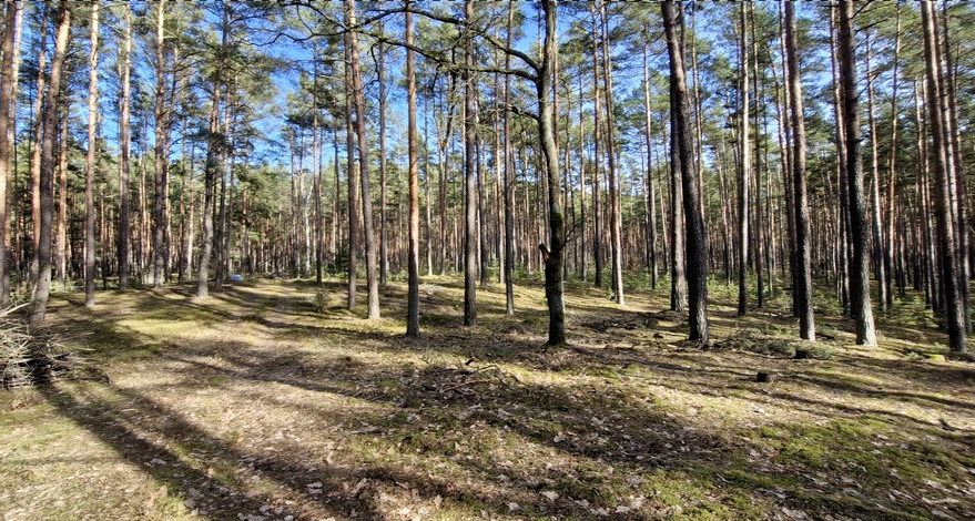 Działka rekreacyjna Osiedle Wilga