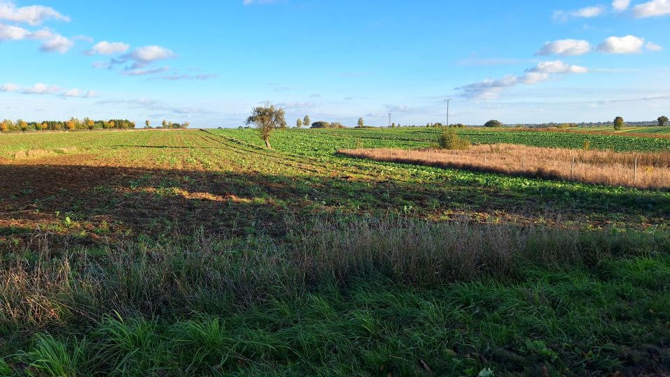 Działka budowlana Bogucin