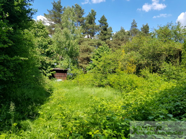 Działka rekreacyjna Rostki Skomackie