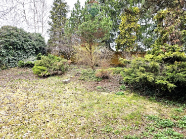 Dom wolnostojący sprzedaż