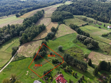 Działka rolna Nowa Wieś