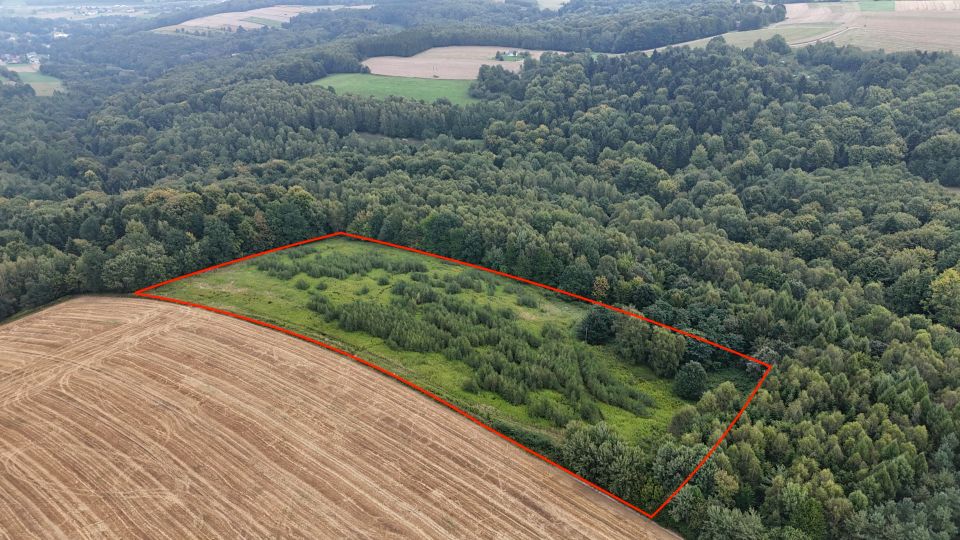 Działka rolna Nowa Wieś