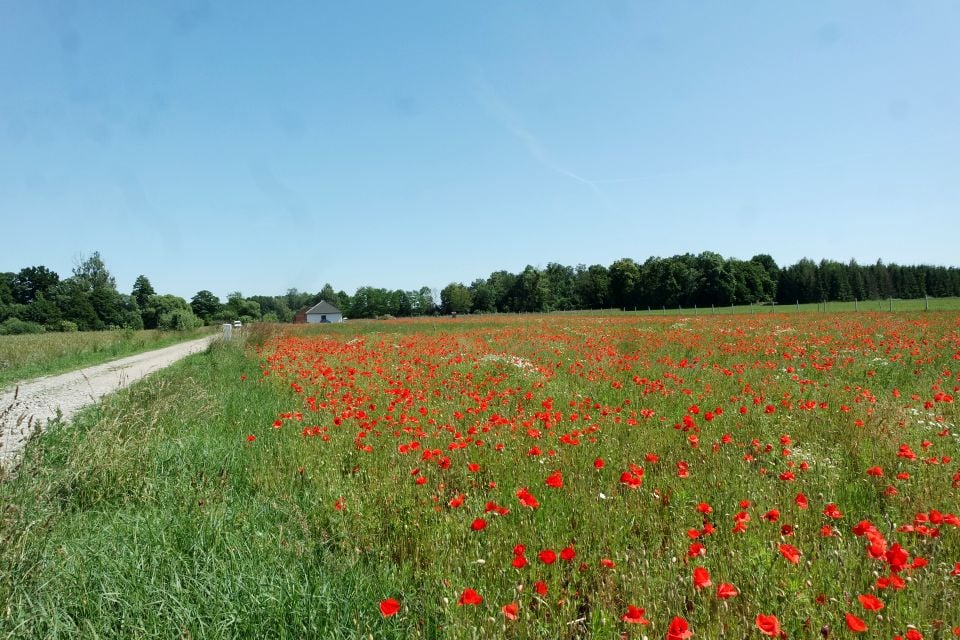 Działka budowlana, ul. Żernicka