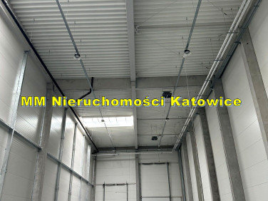 Budynek użytkowy Siemianowice Śląskie