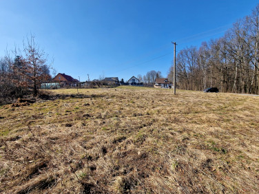 Pusta działka Olszowice