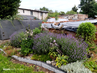Działka budowlano-rolna Murzynko