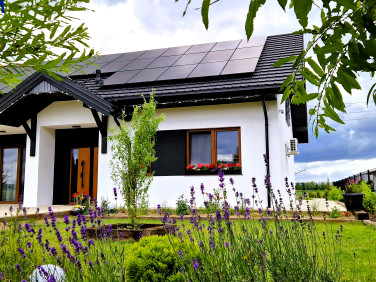 Dom wolnostojący sprzedaż