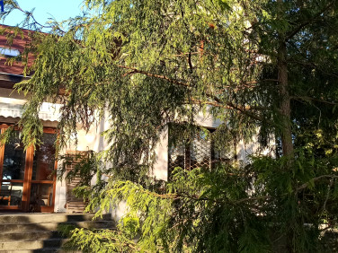 Dom Milanówek sprzedaż