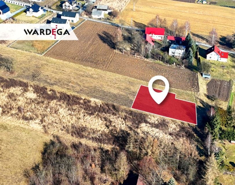 Zdjęcie 2