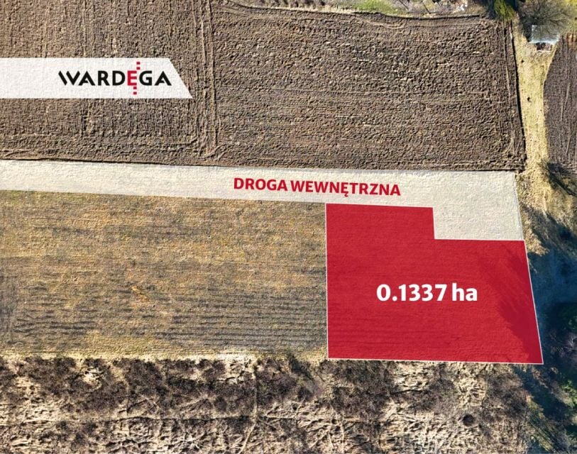 Zdjęcie 3