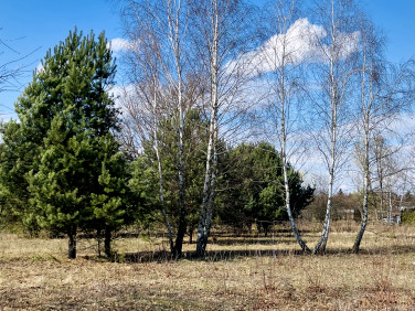 Działka budowlana Runów