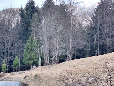 Działka budowlana Zawoja