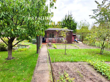 Działka rekreacyjna Drzewce