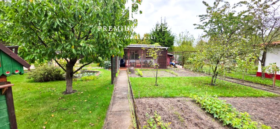 Działka rekreacyjna Drzewce