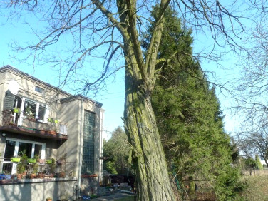 Dom Piotrków Trybunalski