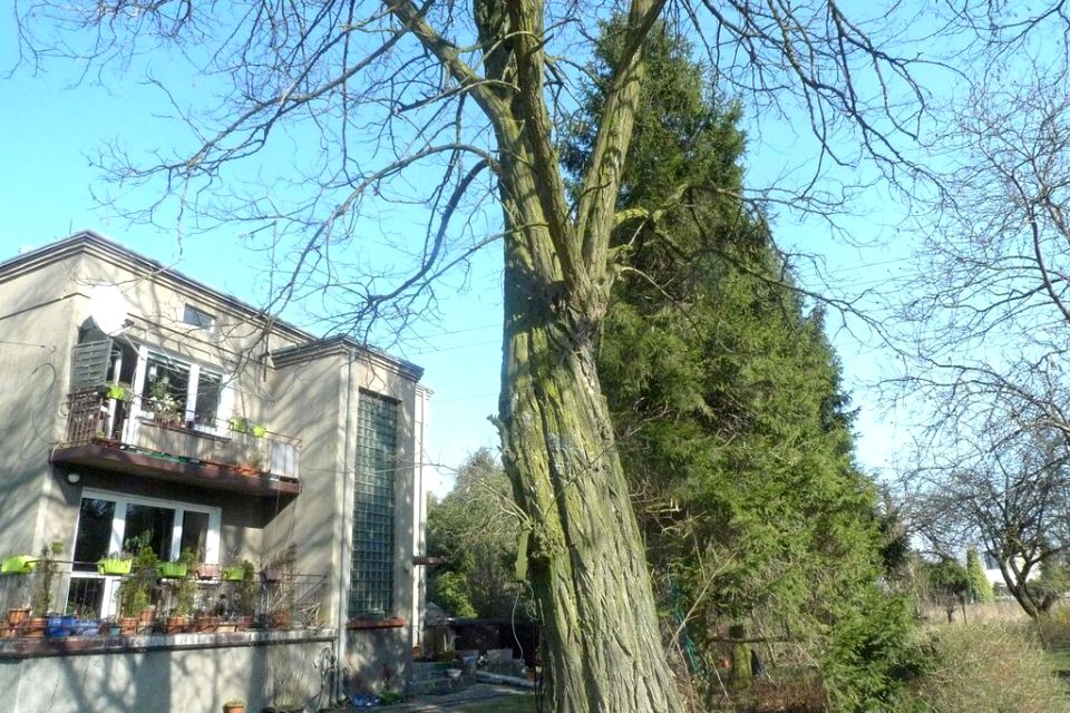 Dom Piotrków Trybunalski