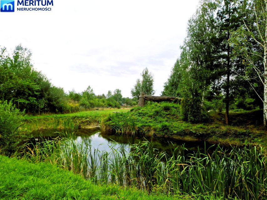 Dom Budy Michałowskie