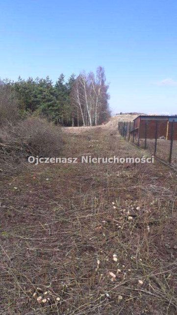 Działka rolna Nowe Dąbie