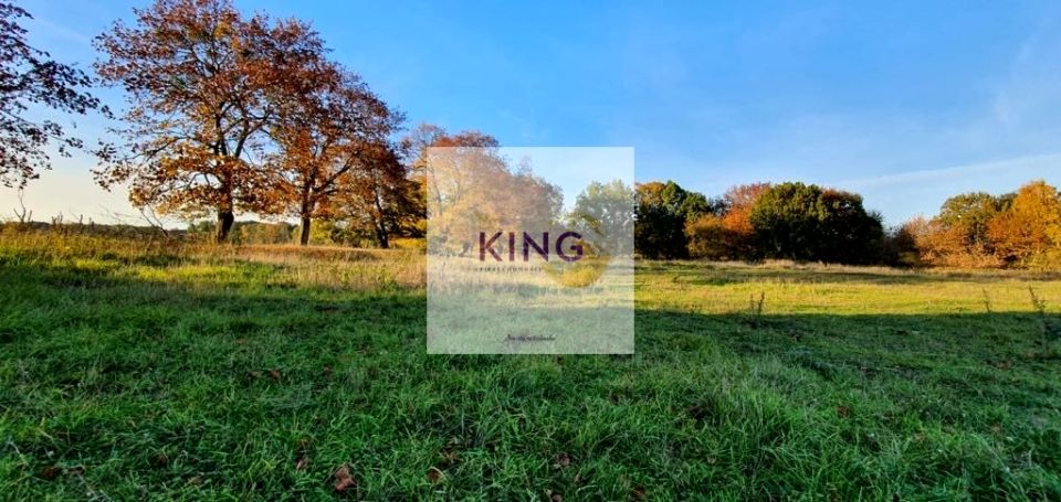 Działka rolna Rogówko