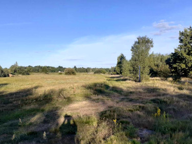 Działka rolna Żdżar