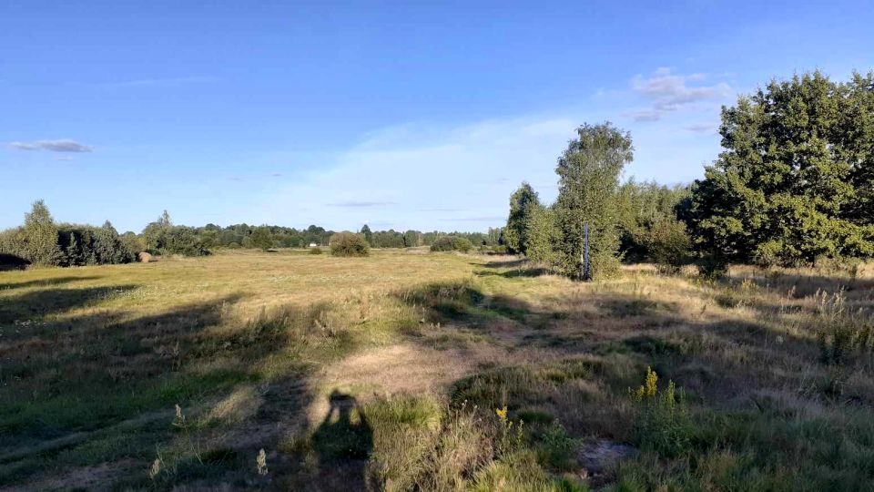 Działka rolna Żdżar